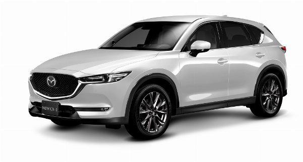 Xe CX5 Cho Thuê Trong Ngày Đi Làm Việc